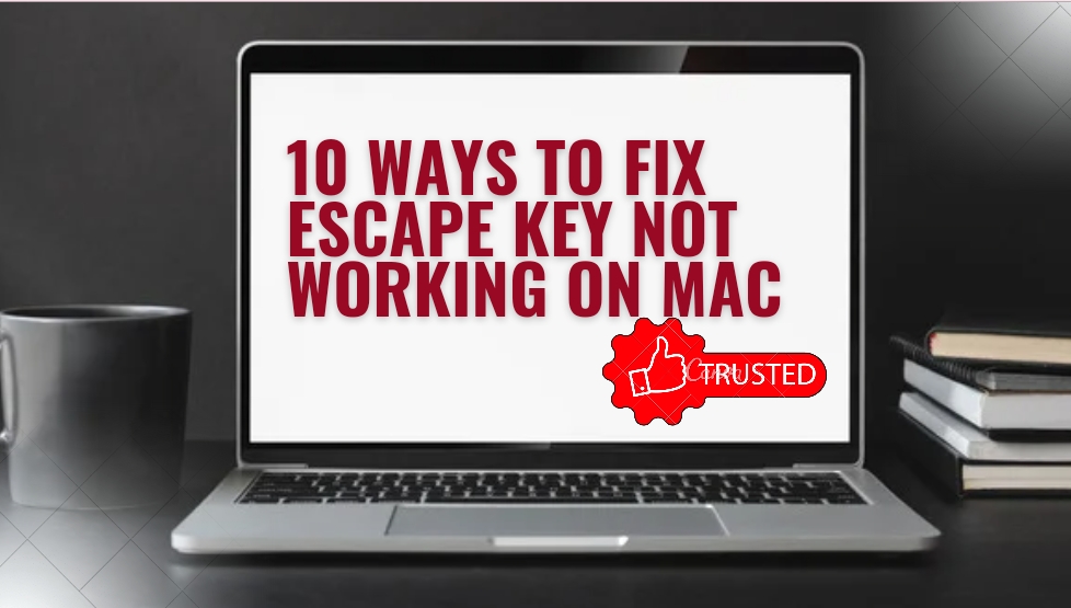 Ways to Fix escape key not working on Mac 